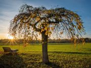 006 Ralf Wietschek 1